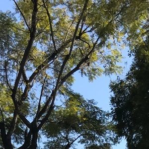 Meet your Posher, Gaby